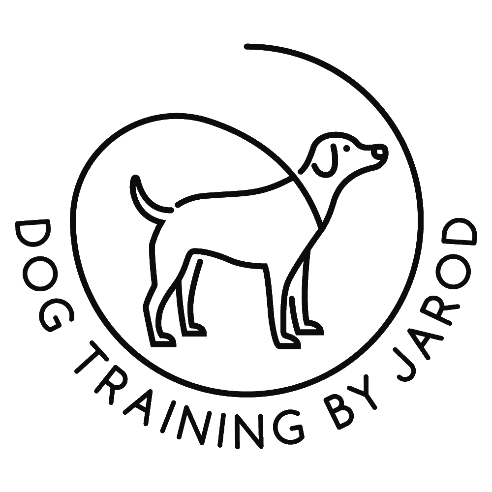Dog Training by Jarod
